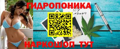 spice Жуковский