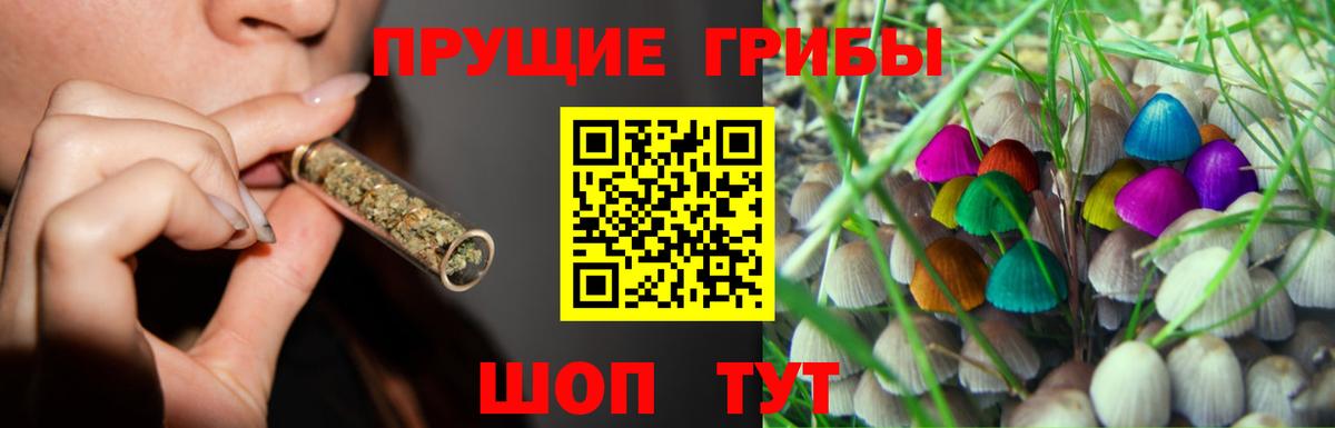 Галлюциногенные грибы Psilocybe  Вход с VPN  купить закладку  Старая Русса  Псилоцибиновые грибы Cubensis 